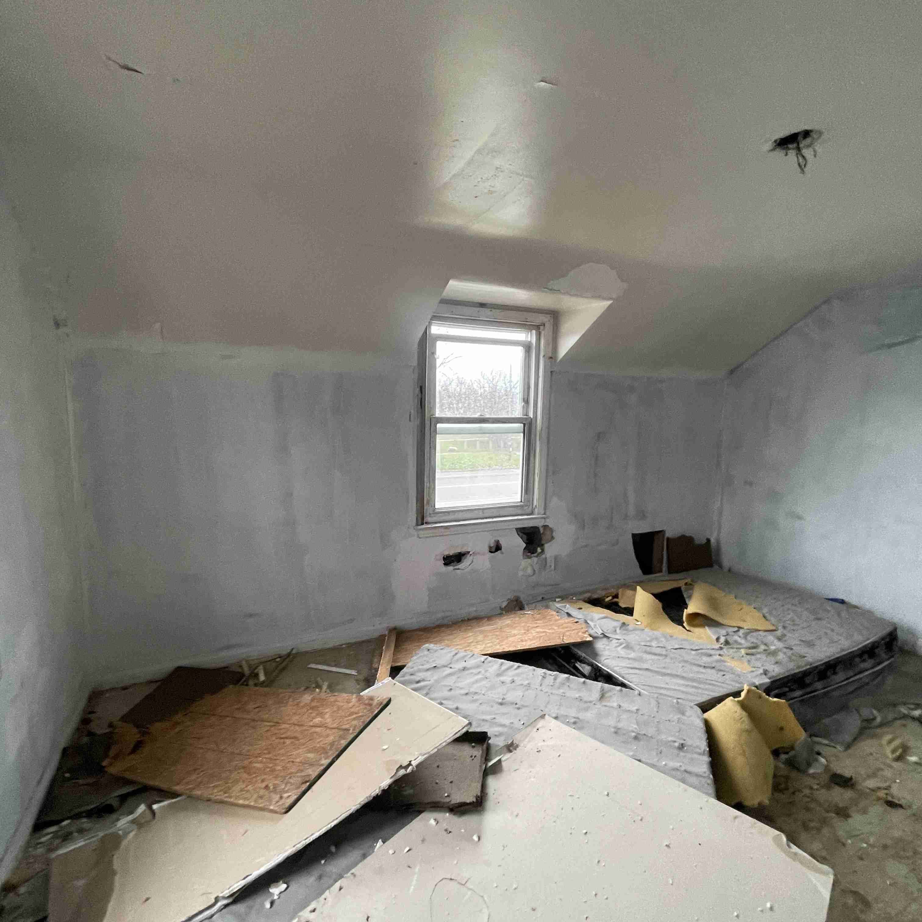 20017 Schoenherr (80).jpg